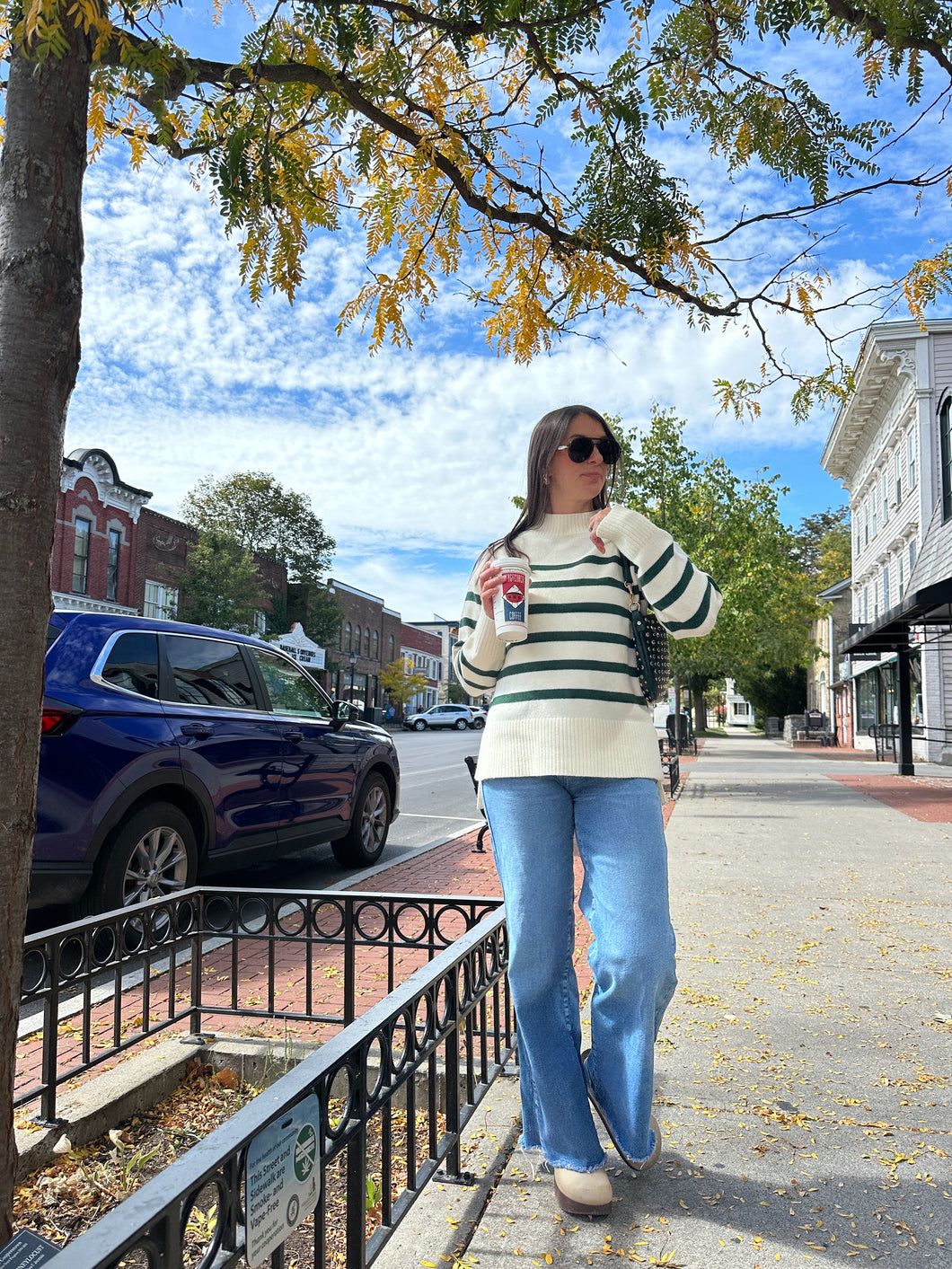 Alainie Sweater | Green Striped