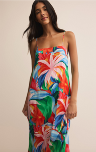 Coast Villa Floral Maxi Dress